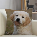 Axyaa Golden Retriever Dog Sofa Pillowcase for home decor