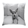 Axyaa Cute Pet Puppies Black and White Art Peach Skin Pillowcase