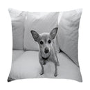 Axyaa Cute Pet Puppies Black and White Art Peach Skin Pillowcase