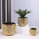 Axyaa Gold Ceramic Succulent Flowerpot Vase Balcony Decor Plant Pots