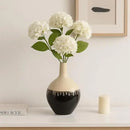 Axyaa Decorative Flower Vase for Home and Office - Stylish Room Accent