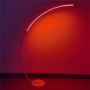 Nordic Stylish Fishing Floor Lamp RGB for Indoor Lighting by Axyaa