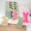 Axyaa Rabbit Silicone Mold | 3D Animal Candle Making DIY | Easter Gift & Home Decor