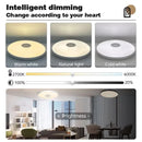 Axyaa Smart RGB Music Ceiling Light with Bluetooth Audio Control