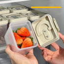 Axyaa Sealed Food Storage Box: Keep Fruits and Veggies Fresh