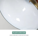 Axyaa 250W Heat Lamp Pendant Light for Food Heating or Holding