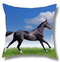 Fine Horse Print Cushion Cover for Home Decor by Axyaa