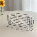 Axyaa Rectangular Mesh Desk Organizer: Large Capacity Cosmetic Storage Basket