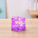 Axyaa Double Layer Glass Coffee Cup with Handle - 200ML Dried Flower Insulated Teacup