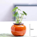 Axyaa Ceramic Persimmon Fruit Flower Pot for Home Decor