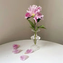 Axyaa Glass Hydroponic Vase Elegant Desktop Home Decor