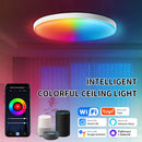 Axyaa Smart WiFi BLT Ceiling Light 24W Voice Control Smart Life Alexa Google Assistant