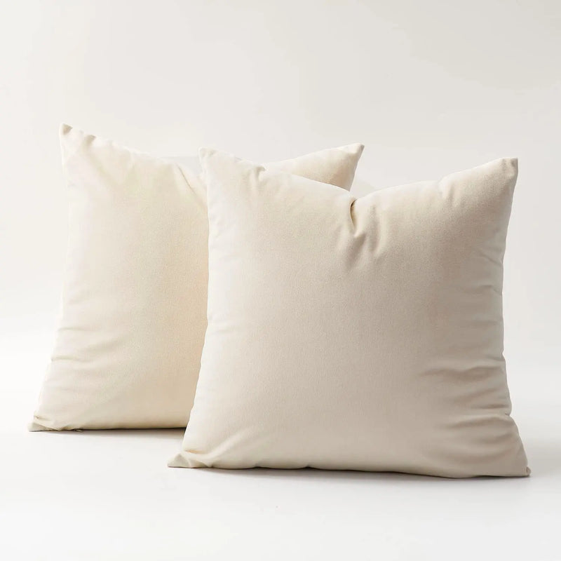 Axyaa Ultra Soft Velvet Throw Pillow Cover - Comfortable Cushion Home Decor