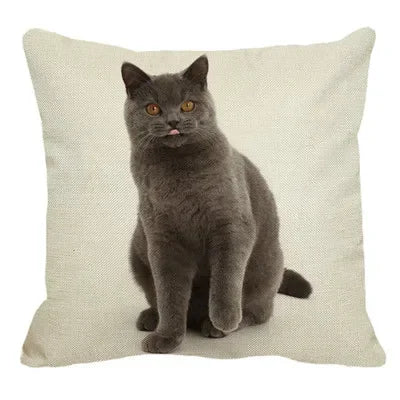 Axyaa British Shorthair Cat Pillow Cover 45X45cm Square Cushion