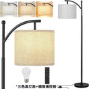 Axyaa LED Floor Lamp with Dimmable 3 Color Options and Modern Design