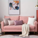 Axyaa Velvet Throw Pillow Cover Set for Sofa Bedroom, Modern Gift Pillowcase