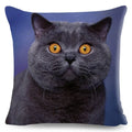 Axyaa Fold Ear Cat Pillow Covers - Set of 2 Cute Pet Pillowcases