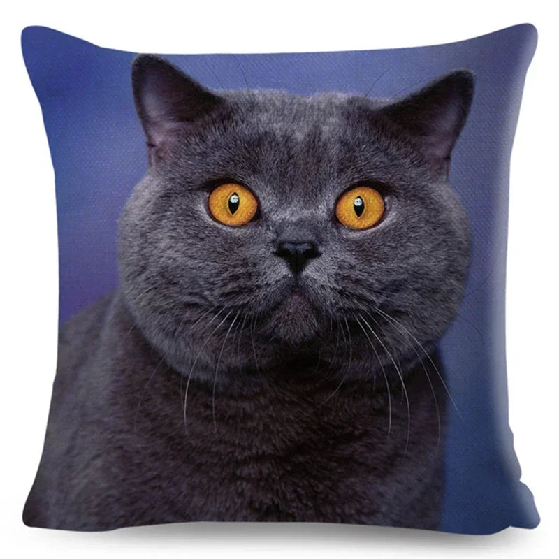Axyaa Fold Ear Cat Pillow Covers - Set of 2 Cute Pet Pillowcases