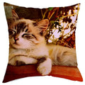 Axyaa Cat Design Sofa Cushion Cover 45x45cm