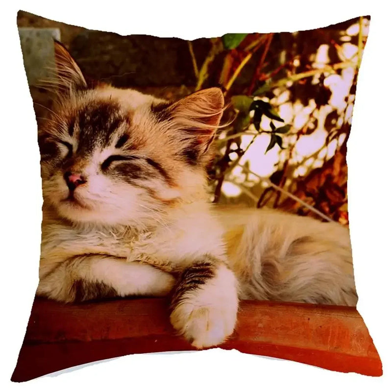 Axyaa Cat Design Sofa Cushion Cover 45x45cm