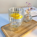 Axyaa Glass Cup Set - Stripe Double Wall High Borosilicate Tea Coffee Mug