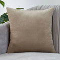 Axyaa Velvet Pillow Cover Modern Home Decor 30x50 45x45 50x50