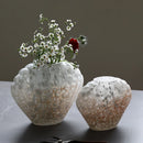Axyaa Shell Glass Vase Whelk Scallop Floral Arrangement Terrarium Home Decoration