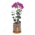 Axyaa LED Flower Lamp Decorative Plant Light - 1W, Perfect for Room, Office, Bar