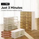 Axyaa Stackable Shoe Rack Organizer with Clear Magnetic Door, Large Plastic Cabinet