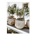 Axyaa Green Leaves Indoor Plants Wall Art Print for Living Room Decor