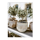Axyaa Green Leaves Indoor Plants Wall Art Print for Living Room Decor