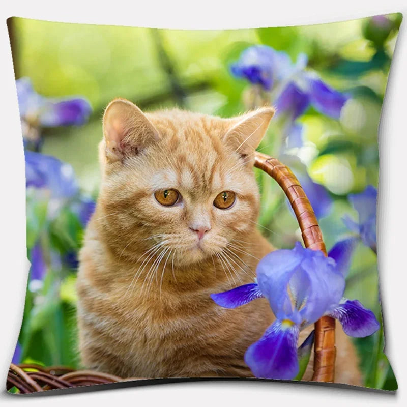 Cute Cat Series Pillowcase for Home Decor by Axyaa
