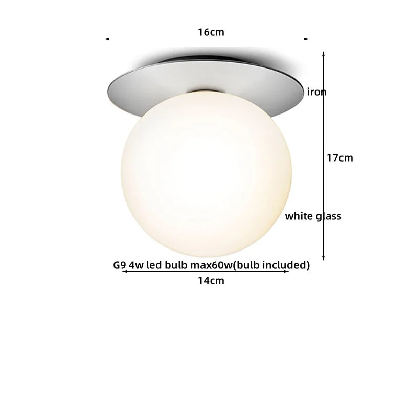 Axyaa Modern Iron Glass LED Ceiling Lamp for Home Lighting