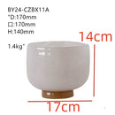 Axyaa Glass Vase Set for Home Decor and Aromatherapy