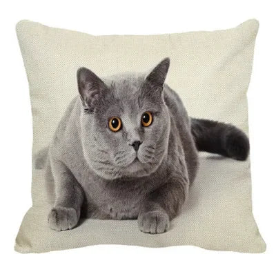 Axyaa British Shorthair Cat Pillow Cover 45X45cm Square Cushion