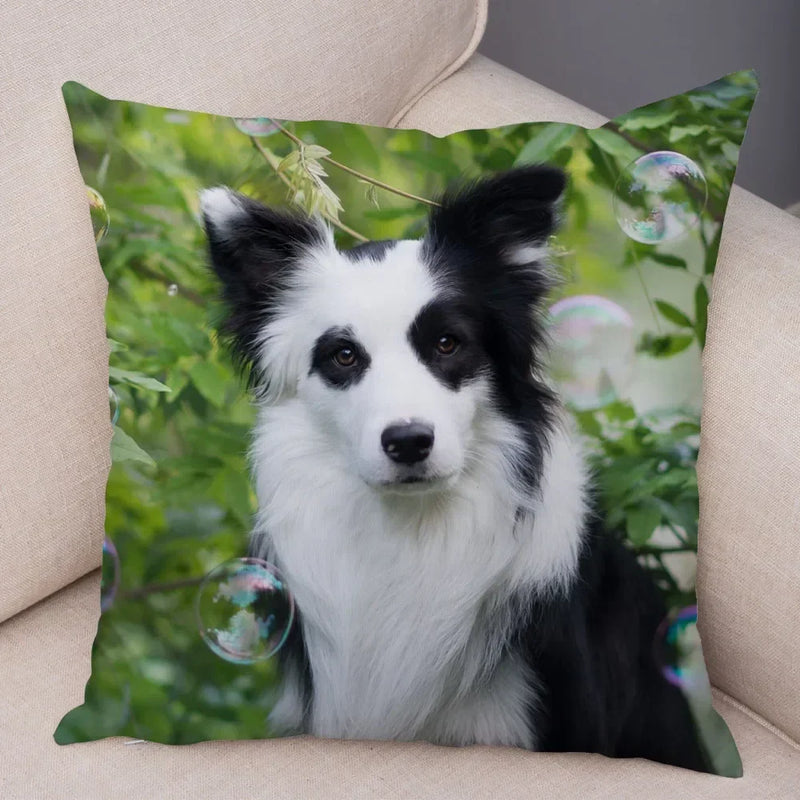 Scottish Border Collie Pillowcase - Axyaa Dog Print Decor Cushion Cover