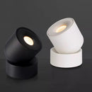 Axyaa Adjustable Angle Spotlight for Living Room Bedroom - Small Ceiling Lights