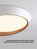 Axyaa Nordic Minimalist LED Ceiling Lamp with Dimmable Remote Control