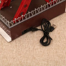 Axyaa Rotating Ferris Wheel Music Box with Lights and USB/Battery Power