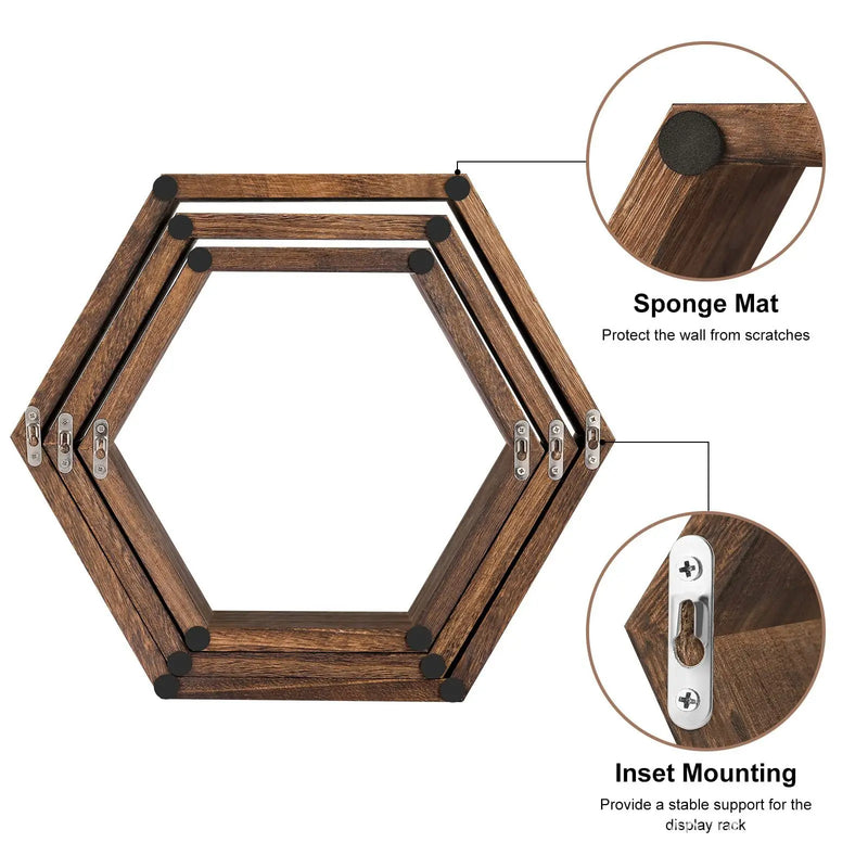 Axya Wooden Hexagonal Succulent Plant Frame Wall Decoration Frame