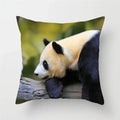 Axyaa Panda Print Polyester Cushion Cover - 45x45cm
