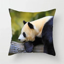 Axyaa Panda Print Polyester Cushion Cover - 45x45cm