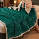 Axyaa Cozy Coral Fleece Blanket - Soft Fluffy Velvet Throw for Bed & Sofa