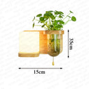 Axyaa Green Plant Wall Lamp with Pull Switch - Indoor Wood Sconces