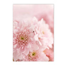 Axyaa Floral Wall Art Canvas Painting Nordic Posters for Living Room Decor
