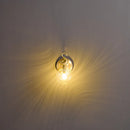 Axyaa Swan Glass Wall Lamp Fixture for Bedroom Bedside Corridor Stairwell, All Copper Indoor Decor
