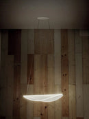 Axyaa Petal Chandelier: Nordic Acrylic Leaf Pendant Light for Living Room, Restaurant, Hotel
