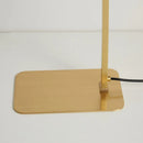 Axyaa Modern Brass Floor Lamp 3-in-1 Gold/Black Minimalist Design