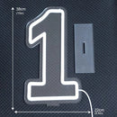 Axyaa Numbers Neon Sign 0-9 with Stand Base - USB Powered Dimmable Light Sign