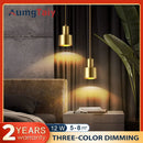 Axyaa LED Wall Lamp Gold Black Pipe Acrylic Shade for Bedroom Study Room